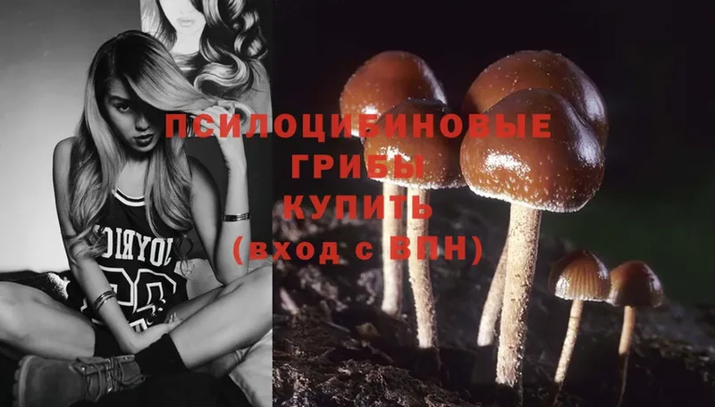 ОМГ ОМГ ONION  Чехов  Галлюциногенные грибы Psilocybe 