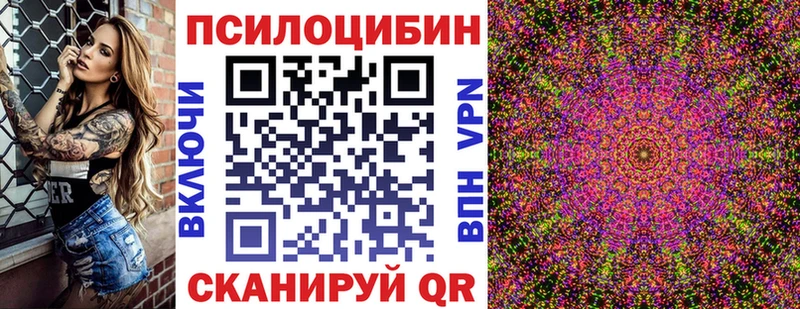 Галлюциногенные грибы Psilocybine cubensis  Чехов 